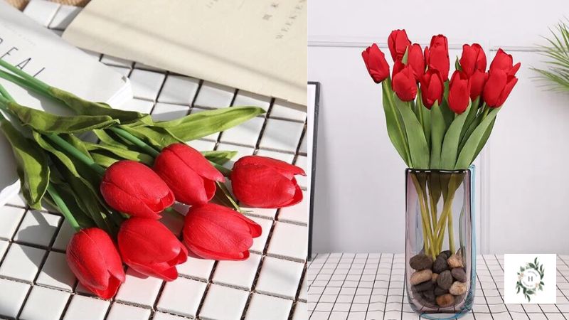 Hoa tulip đỏ - tình yêu hoàn hảo